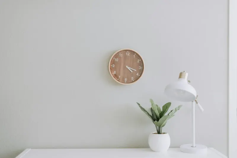 White desk lamp beside a green plant on a desk